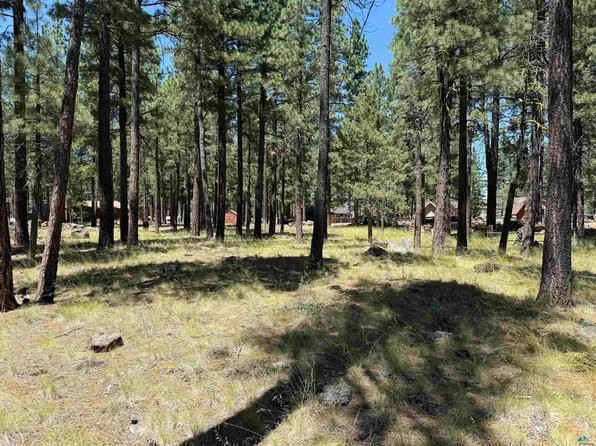 0 Willow Way, Susanville, CA 96130