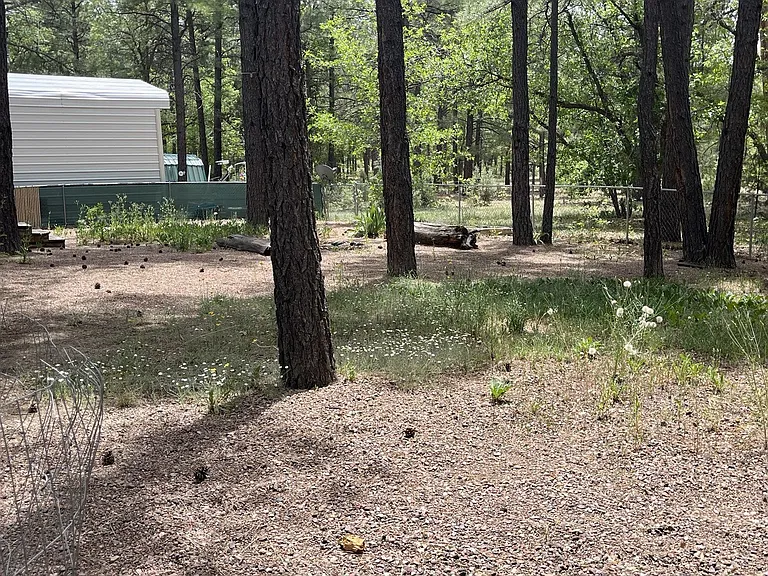 2825 Pinon Pine Dr — Photo 16