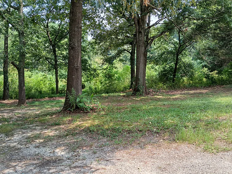 897 Dry Pond Rd — Photo 17