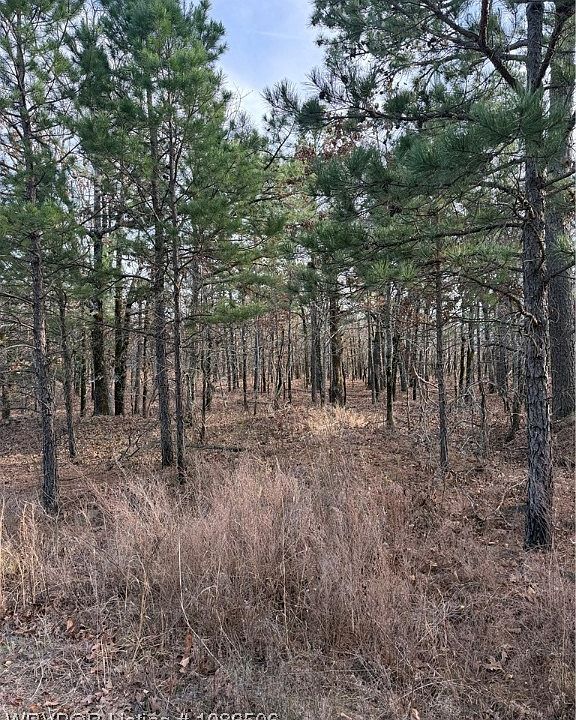 2nd image of Baldwin Ranch Rd