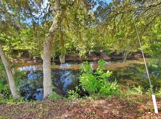 22040 Blue Creek Lodge Rd, Astor, FL 32102