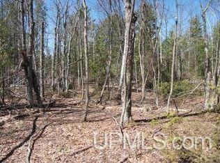 Pontiac Rd LOT C, Hancock, MI 49930