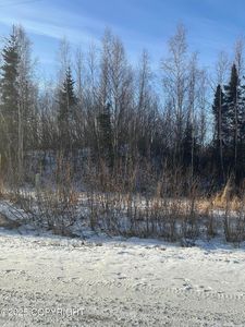 B3-L1 S Preston Hills Dr, Wasilla, AK, 99623