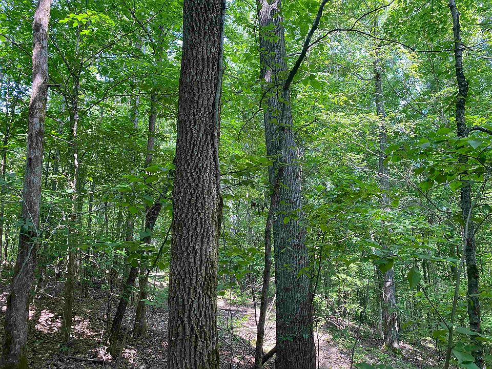 13th image of this home