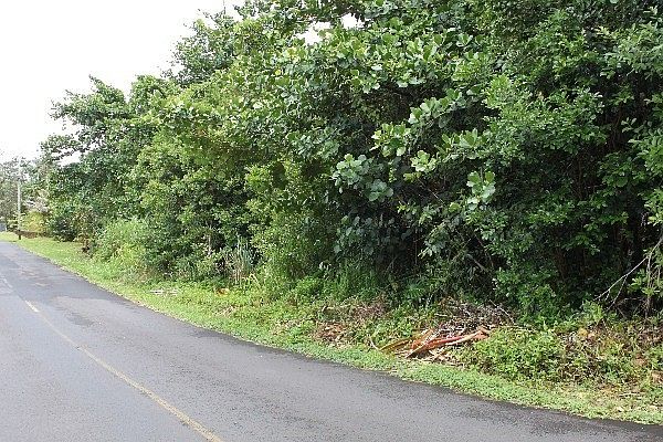 1st image of 22nd Ave