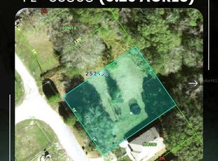 560 Calla Pl #11, Polk City, FL 33868