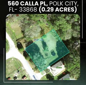 560 Calla Pl #11, Polk City, FL, 33868