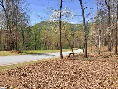 110 Black Knight Trl, Travelers Rest, SC, 29690