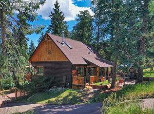 270 E Gunnison Ave, Woodland Park, CO 80863