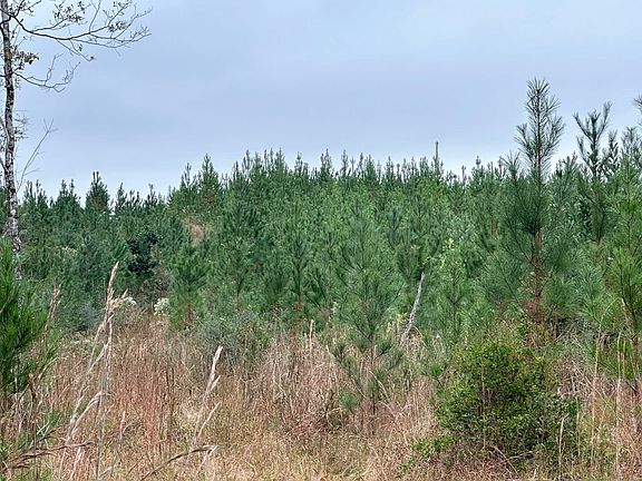 2nd image of PARCEL D1 Millside Rd