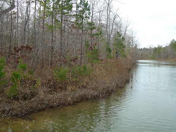 3rd image of 2306 Hickory Lake Dr