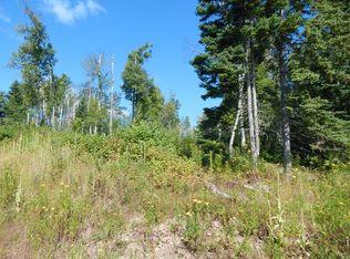 2X Turnagain Tr, Lutsen, MN 55612