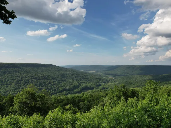 309 Black Berry Rd, Beersheba Springs, TN 37305