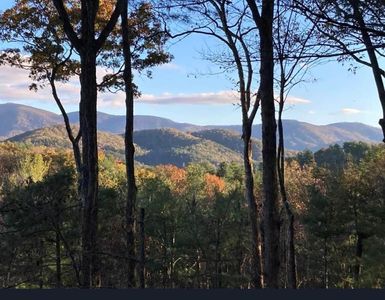 1183 Bear Paw Trl, Blue Ridge, GA, 30513