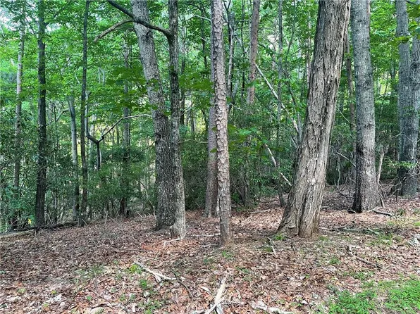 119 Crazy Bear Rdg, Jasper, GA 30143