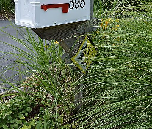 2nd image of 395 Shelbourne Ln
