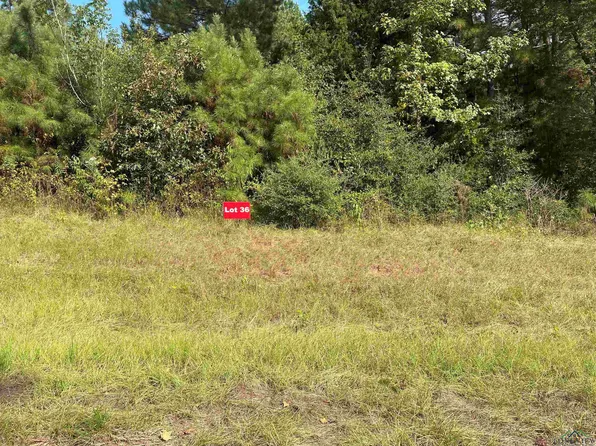 36 County Road 2204d & Dm #1797, Tatum, TX 75691