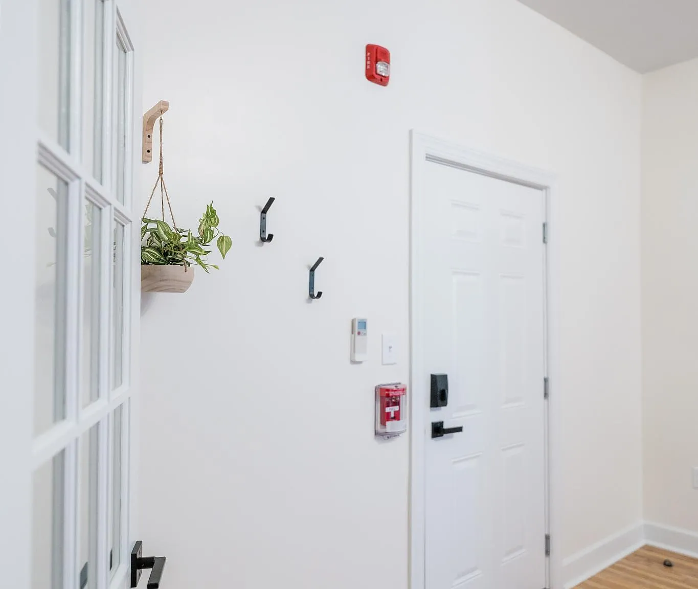 1 bed, 1000 sqft, $1,950 — Photo 3