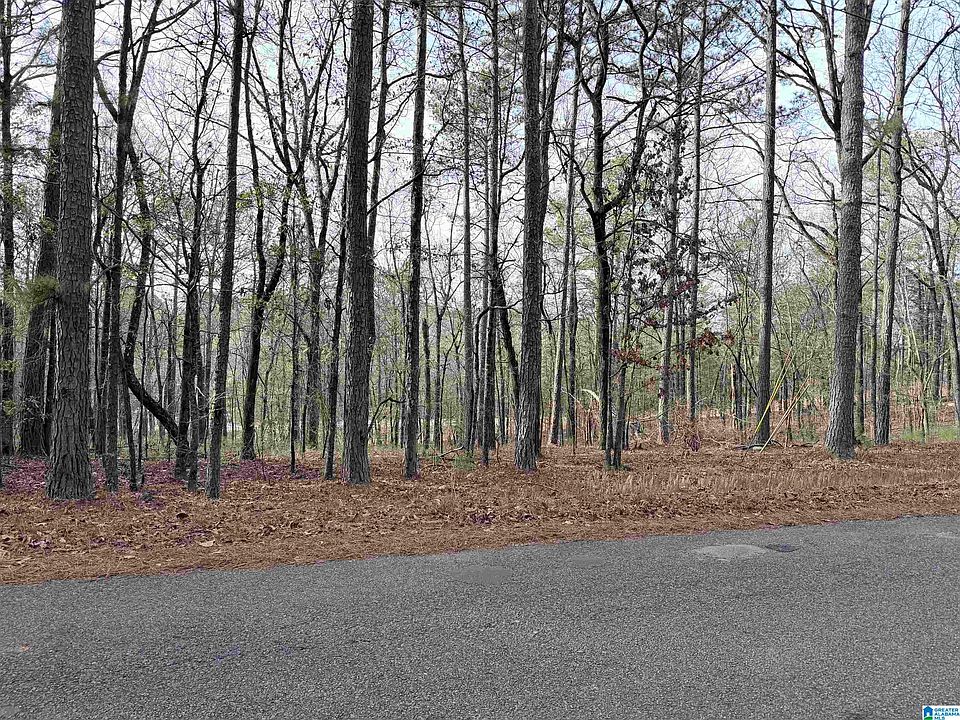 2nd image of 0 Renfroe Rd #5