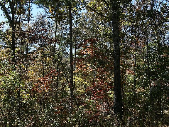 5th image of 288 W Ar 56 Hwy