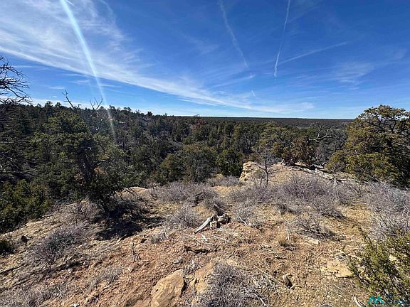 4th image of 0 Panther Rd