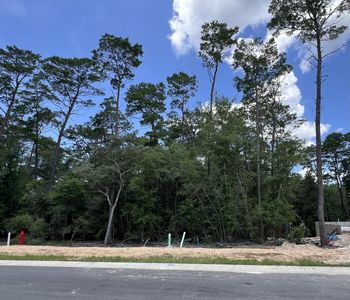 239 Foxglove Run, Niceville, FL, 32578