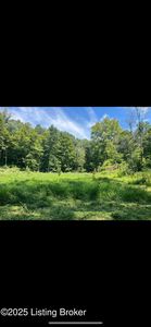 799 Cherokee Trail Ln, Custer, KY, 40115