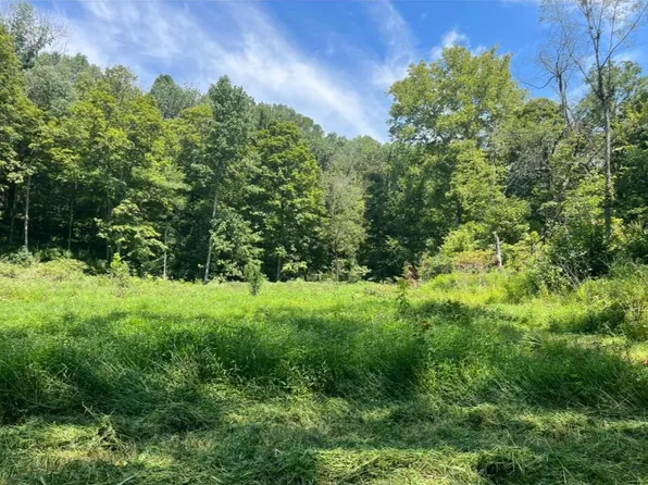 799 Cherokee Trail Ln, Custer, KY 40115