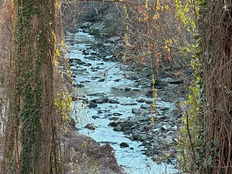 Stream view from kitchen window
