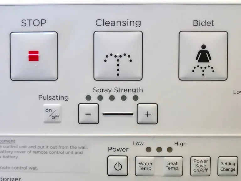 Master Bath: Bidet controls in toilet room