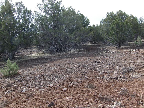 2nd image of 8341 Juniper Dr