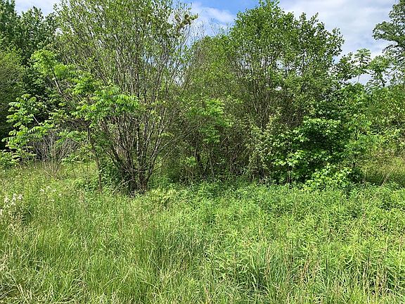 3rd image of Greasy Creek Rd