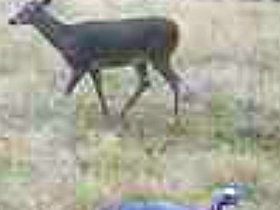 3rd image of County Road 3230 Rd