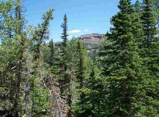 193 W Zion View Dr, Brian Head, UT 84719