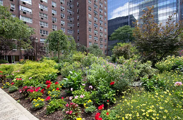 Rented by Punia & Marx Inc. | media 20