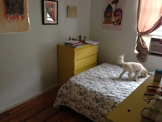 Rented by Elite NY Holdings | media 29