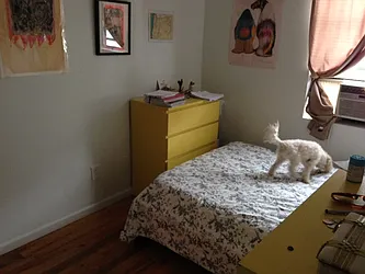 Rented by Elite NY Holdings