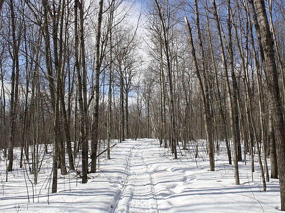 4th image of On West Rapids Road