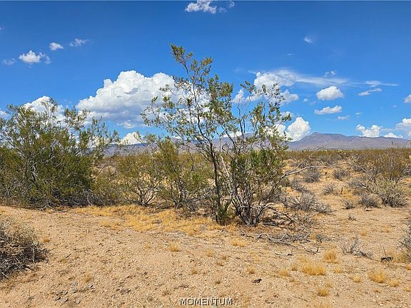 4th image of 123-12-004 S Wild Bill Road