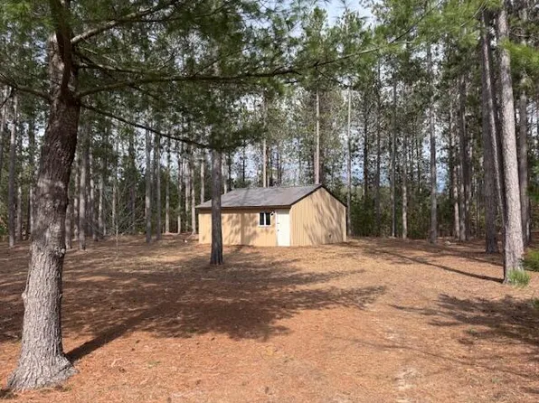22440 Eleven Mile Rd, Reed City, MI 49677