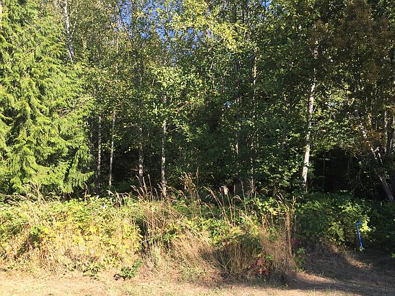 3rd image of 9842 Windward Dr NW