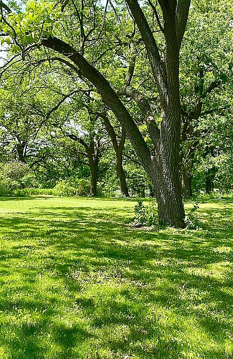2nd image of 54674 190th St
