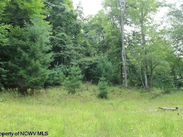 Knotty Pine Dr, Parsons, WV 26287