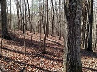 676 Seye Wailo Trl, Clarkesville, GA 30523