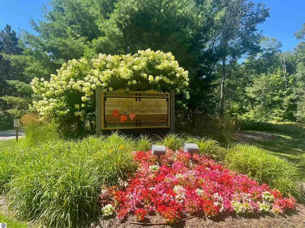 24 Misty Morning Trl Unit 0, Thompsonville, MI 49683