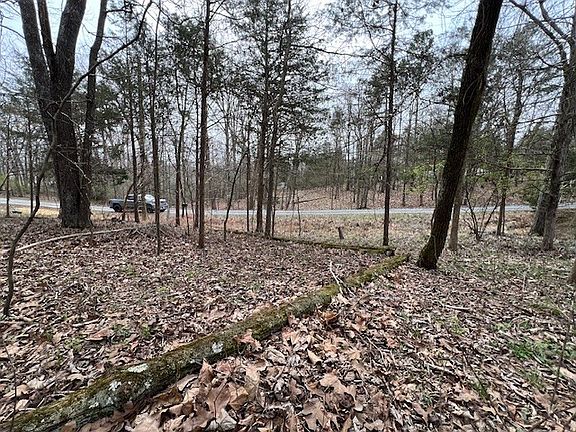 5th image of 1234 Indian Camp Dr Lot 1234