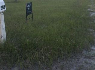 963 Moody Rd NE, Ludowici, GA 31316