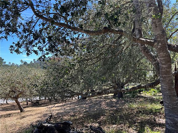 3rd image of 0 Pierce Ave Lot 27