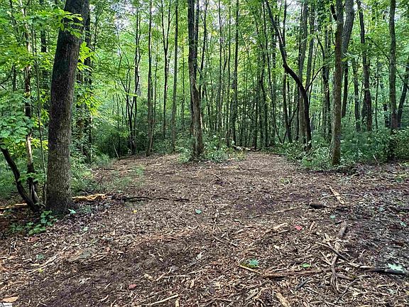 5th image of 0 N Little River Rd Lot 3