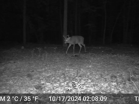 2nd image of 873 Burns Rd